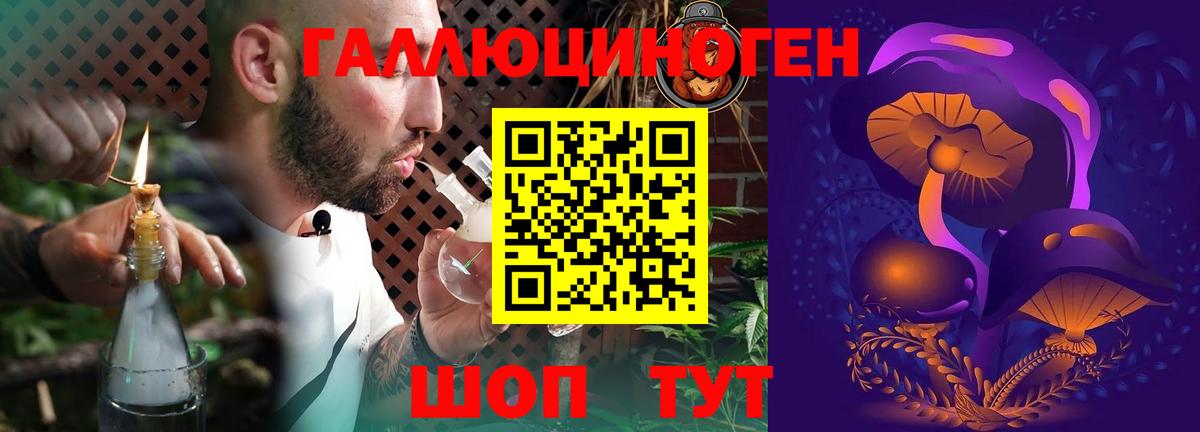 Минусинск  где купить   Вход с VPN  Псилоцибиновые грибы Psilocybe 